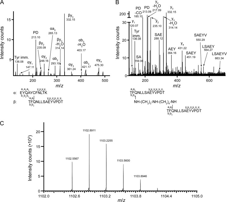 FIGURE 3.