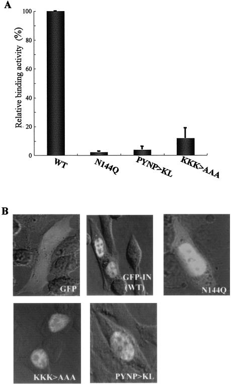 FIG. 4.