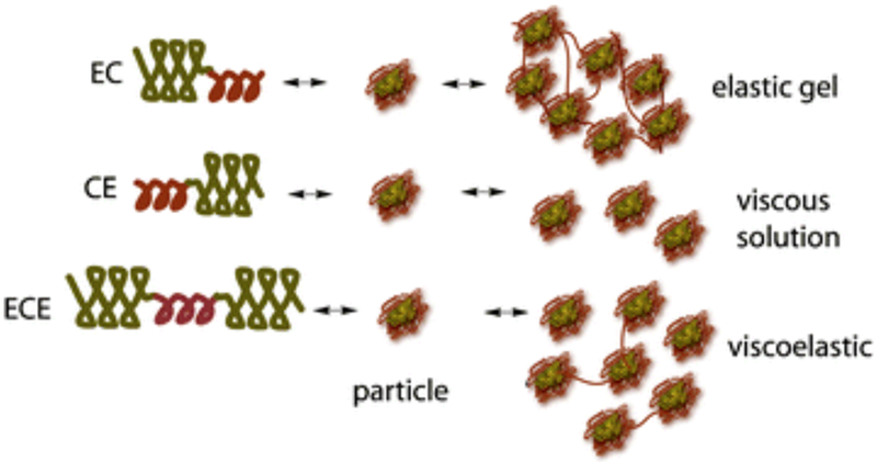 Figure 2.2-5