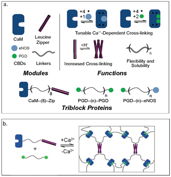 Figure 2.3-4