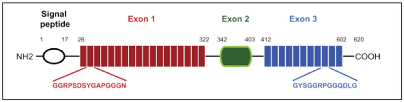 Figure 2.1-5