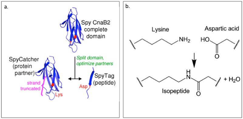 Figure 3.1-7