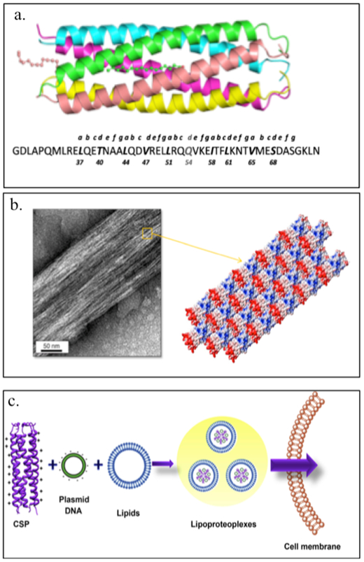 Figure 2.1-9