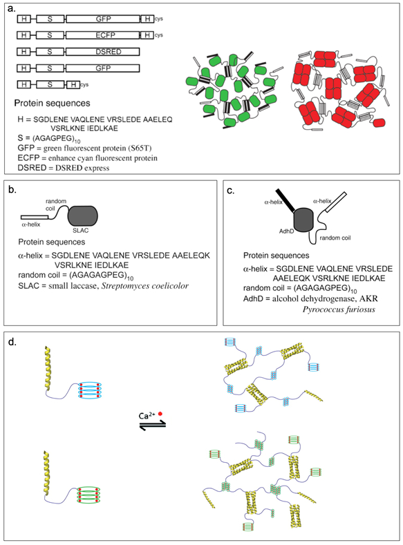 Figure 2.2-4.