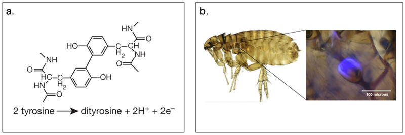 Figure 2.1-4