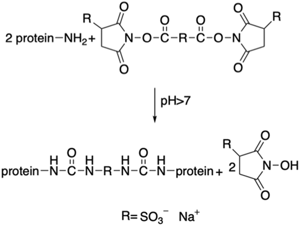 Figure 3.1-2