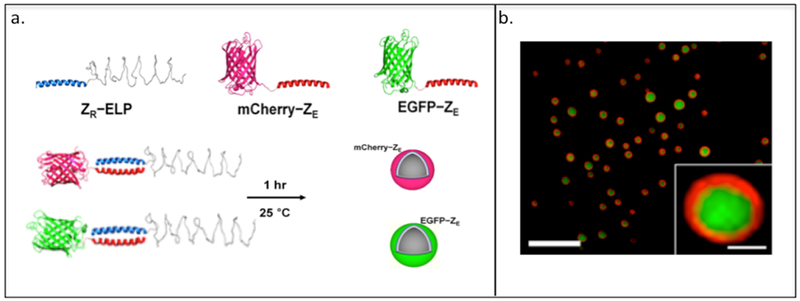 Figure 2.3-2