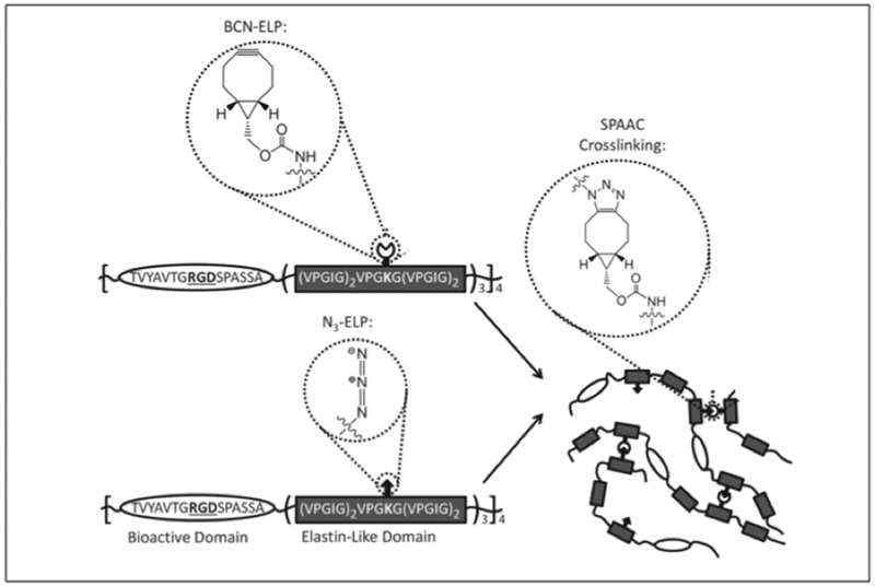 Figure 3.1-6