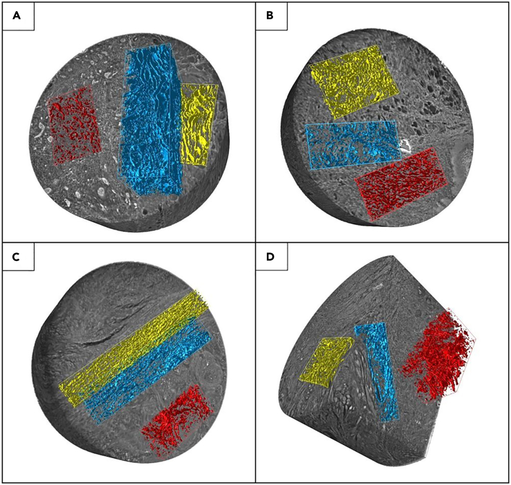 Figure 3