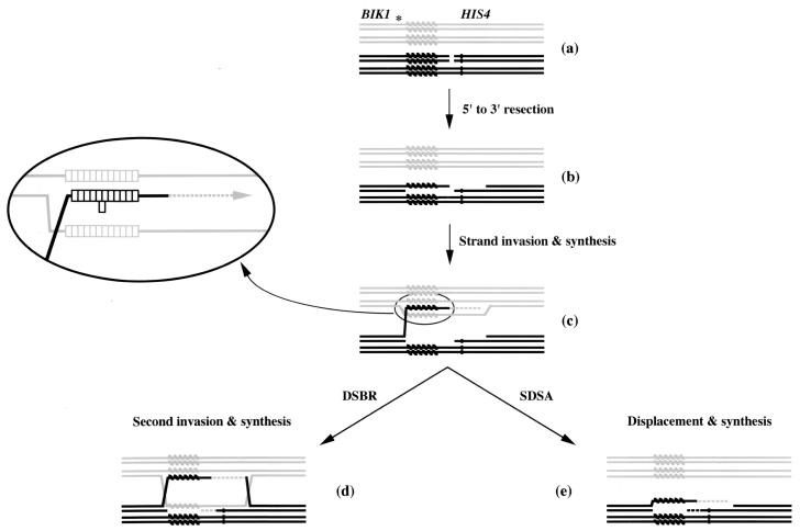 FIG. 5.