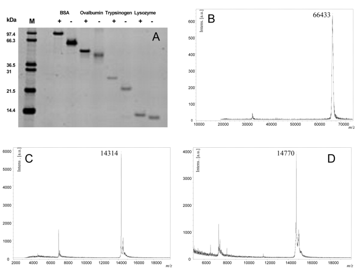 FIGURE 3