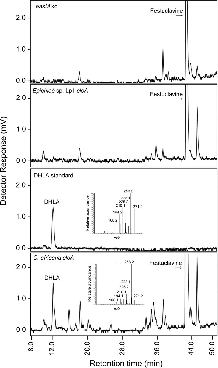 FIG 2