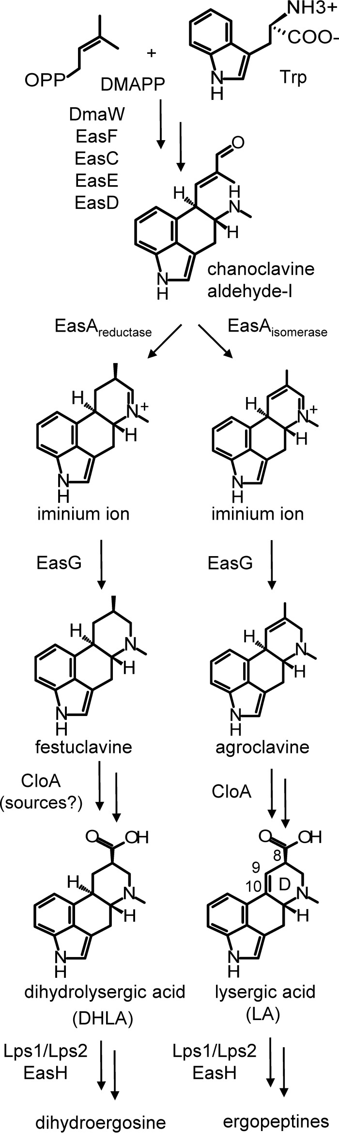 FIG 1