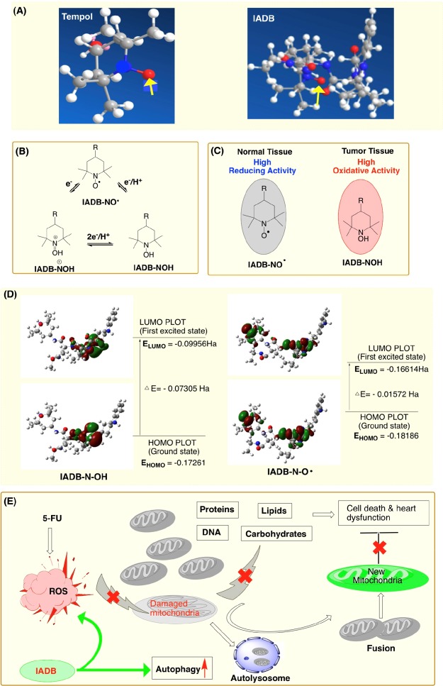 Figure 11