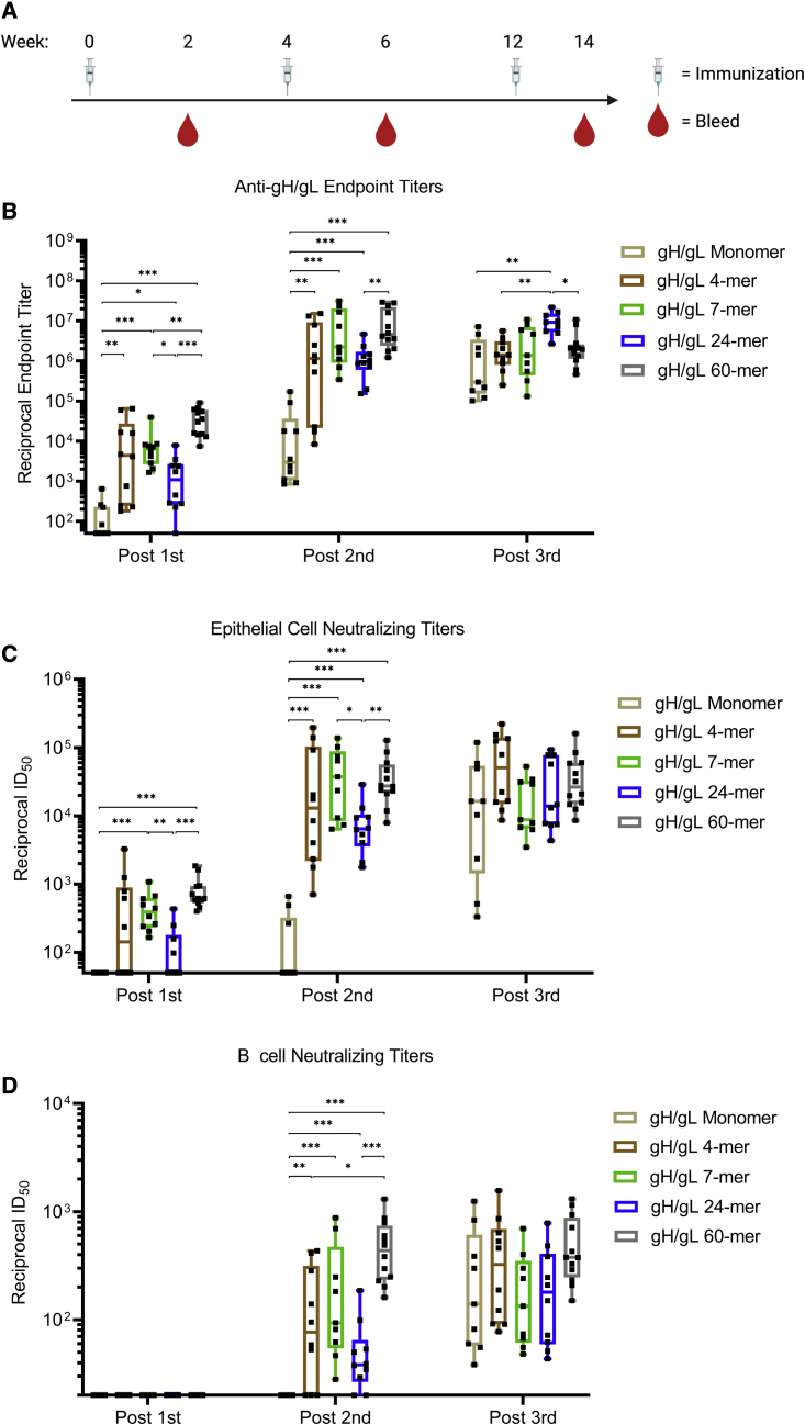 Figure 2