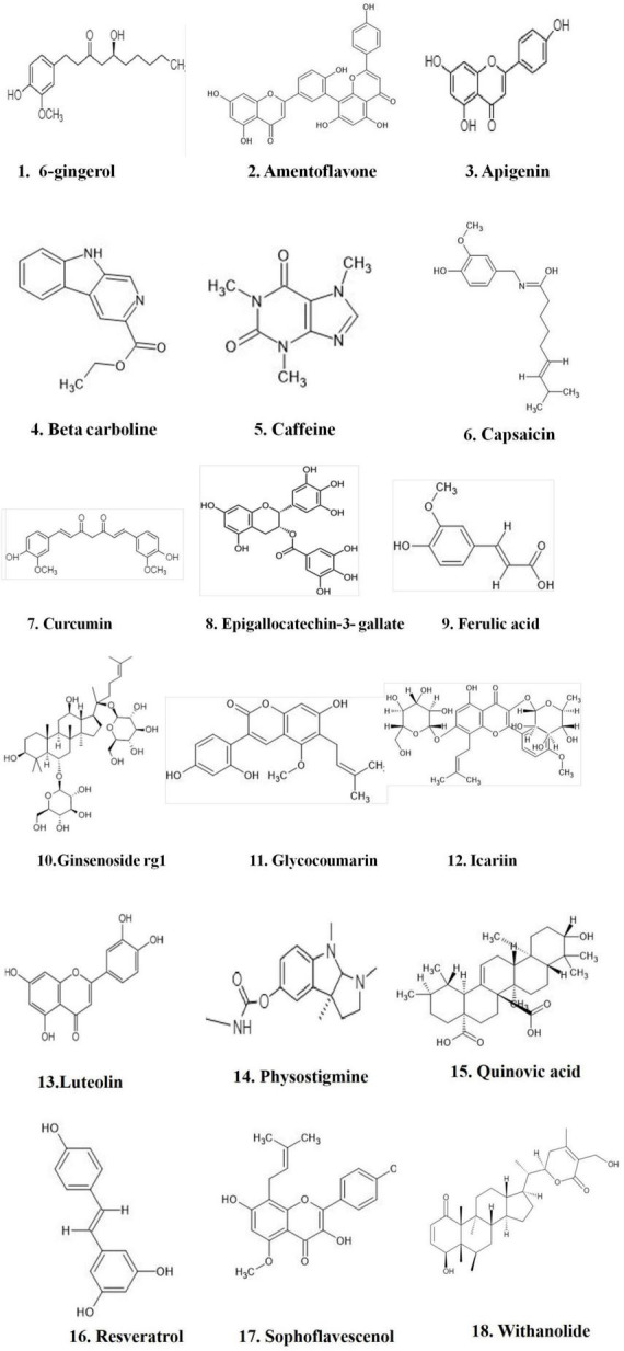 FIGURE 1