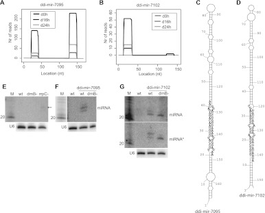 FIGURE 4.