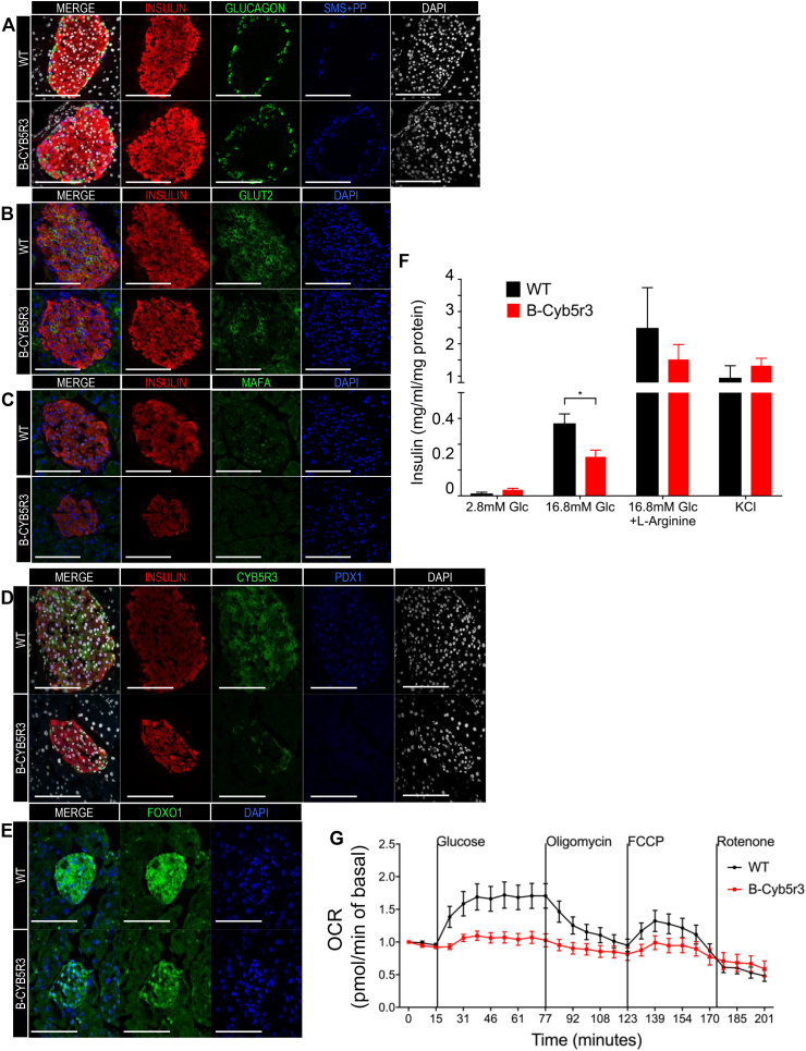 Figure 6