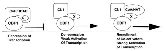 FIG. 9