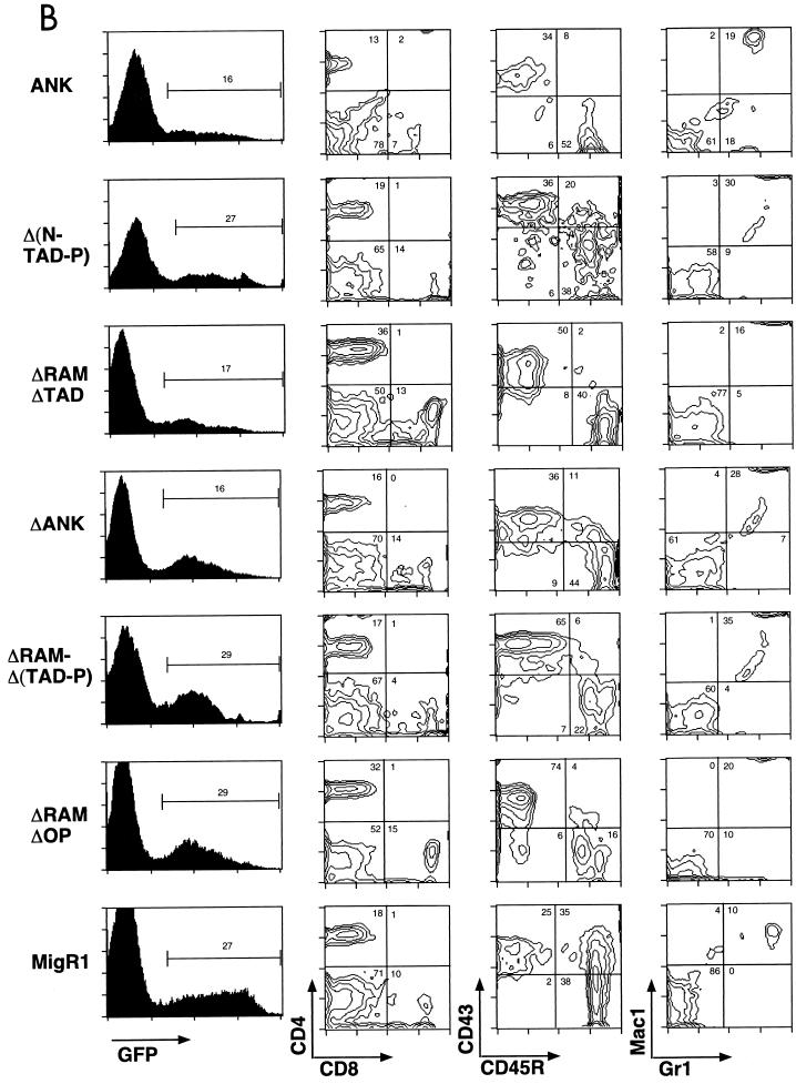 FIG. 3