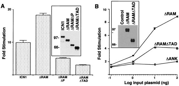 FIG. 6