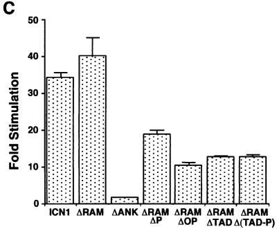 FIG. 6