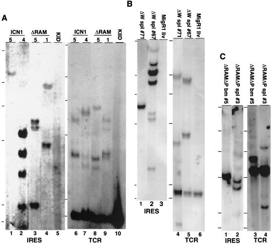 FIG. 5