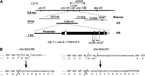 Figure 2.—