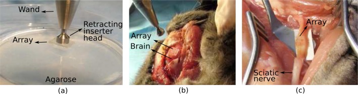 Fig. 14