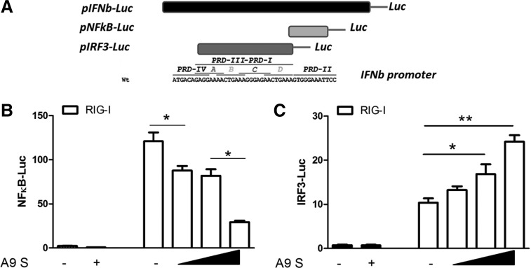 FIG. 2.