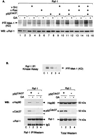 FIG. 6