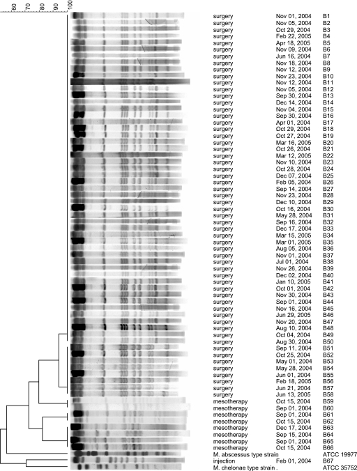 FIG. 1.