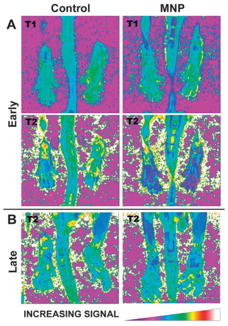 Fig. 9