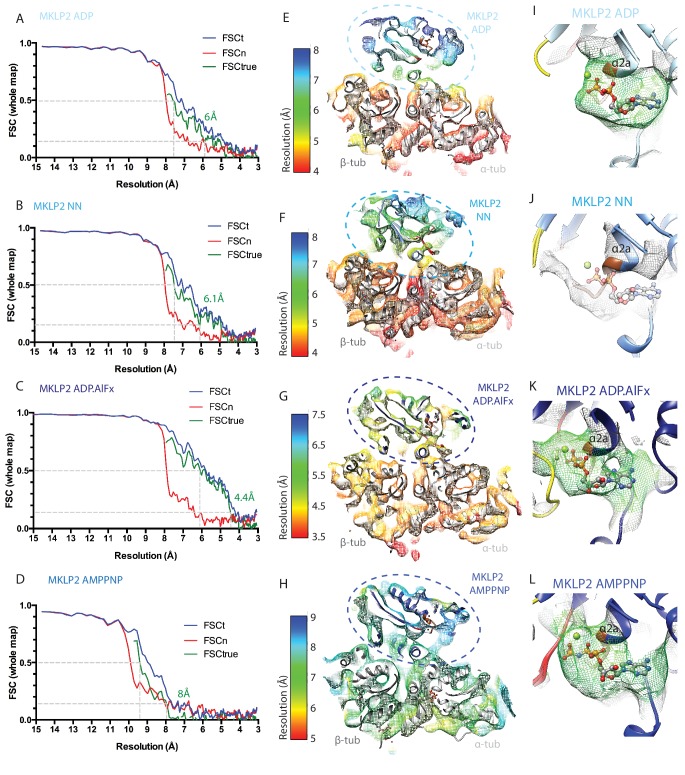 Figure 2—figure supplement 1.