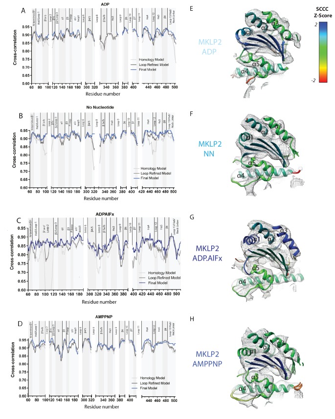 Figure 2—figure supplement 4.