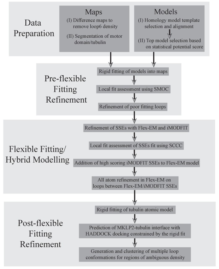 Figure 2—figure supplement 3.