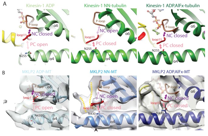 Figure 3—figure supplement 2.