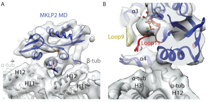 Figure 3—figure supplement 3.