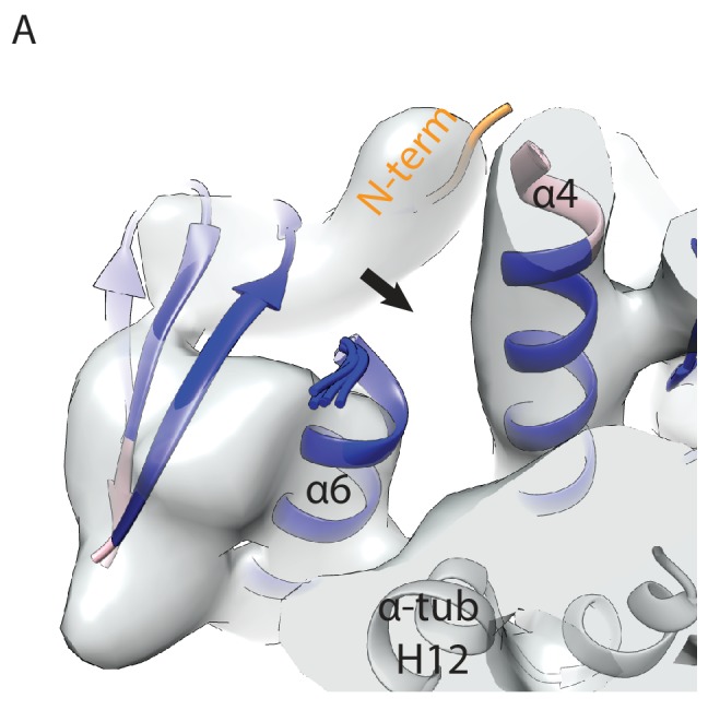 Figure 6—figure supplement 1.