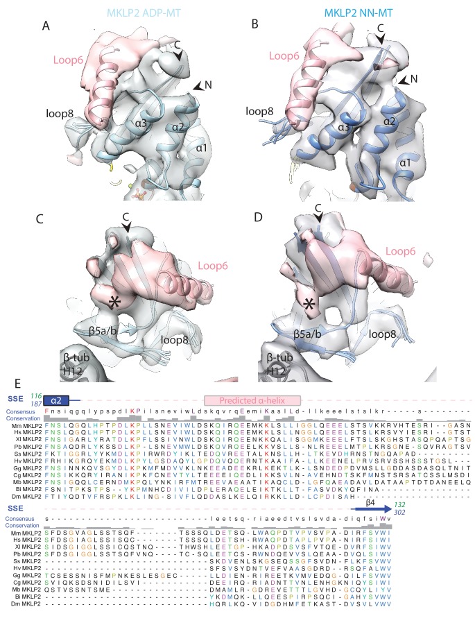 Figure 7—figure supplement 1.