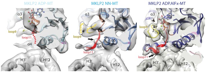 Figure 3.