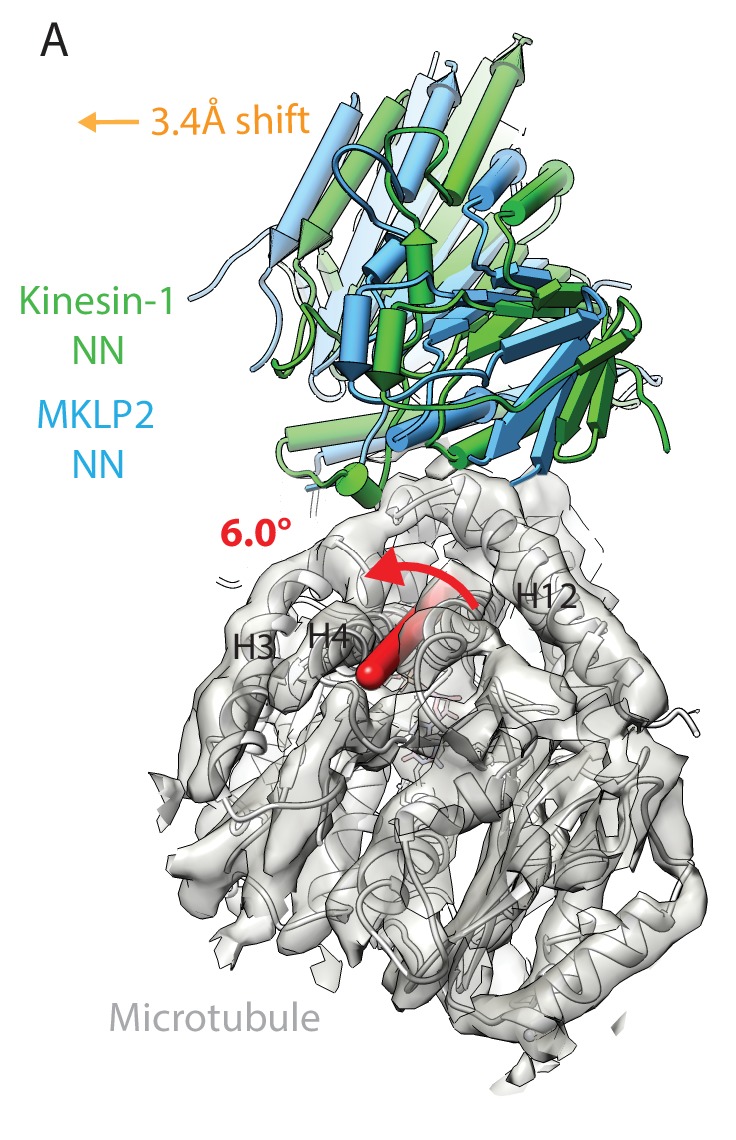 Figure 4—figure supplement 2.