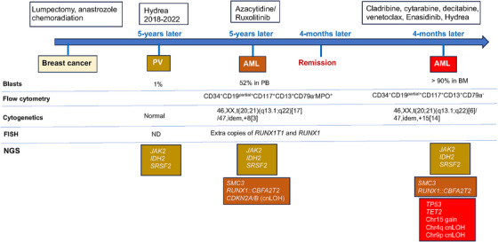 FIGURE 1