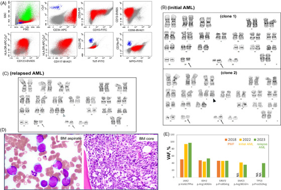 FIGURE 2