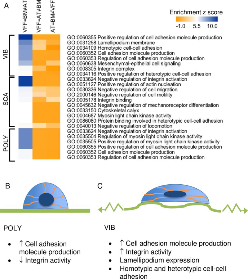 Fig 3.