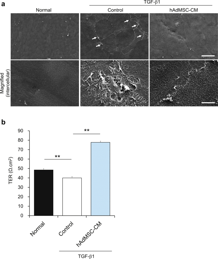 Fig. 4