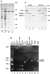 FIG. 6