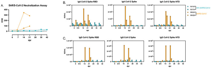 Figure 7.