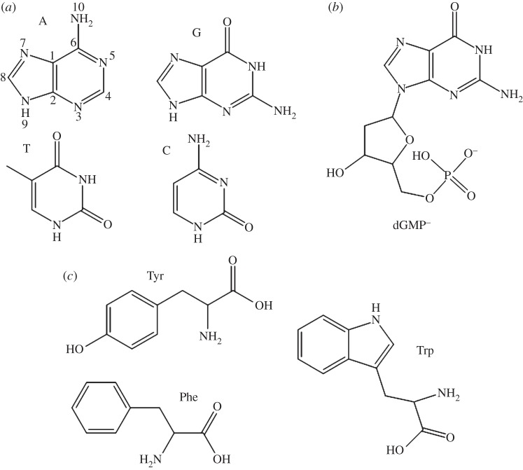 Figure 1.