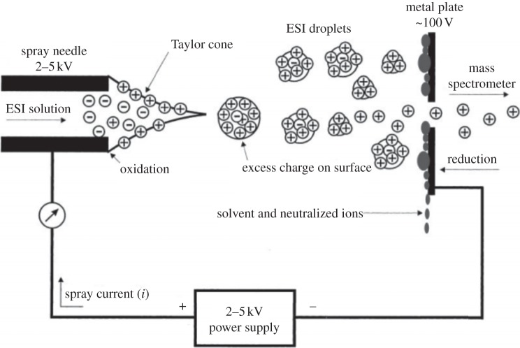 Figure 9.